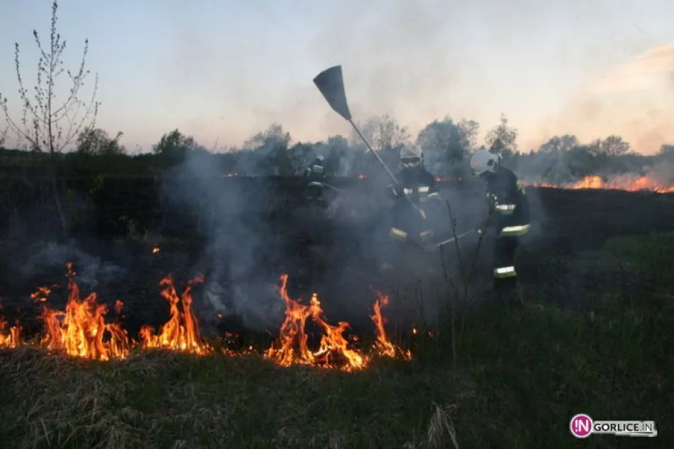 Pożar traw w Bieczu - zdjęcie 8