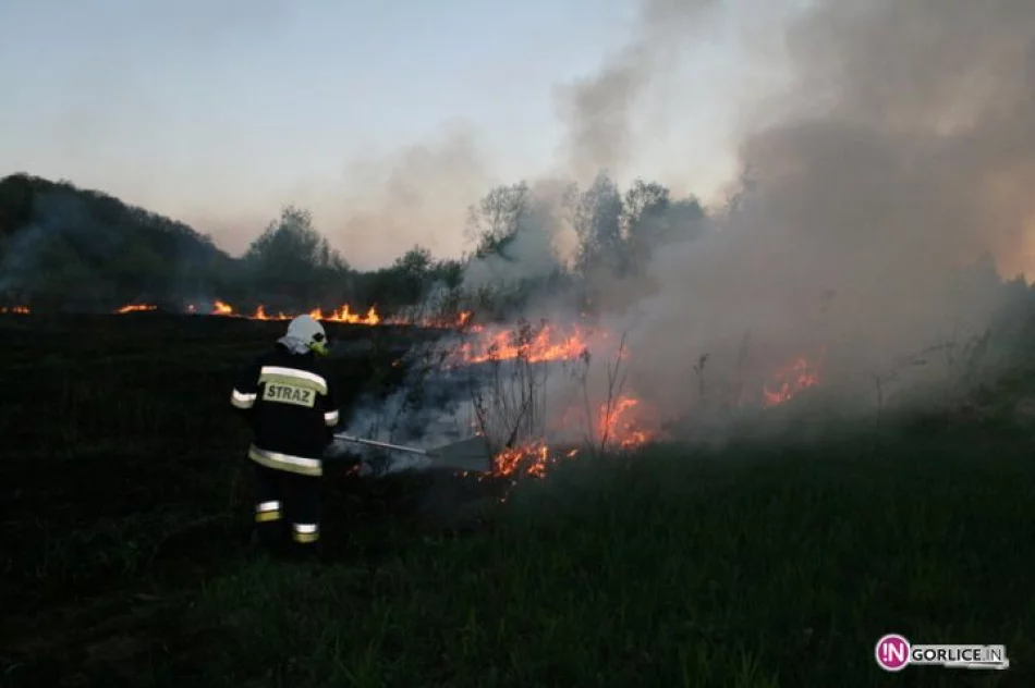 Pożar traw w Bieczu - zdjęcie 11