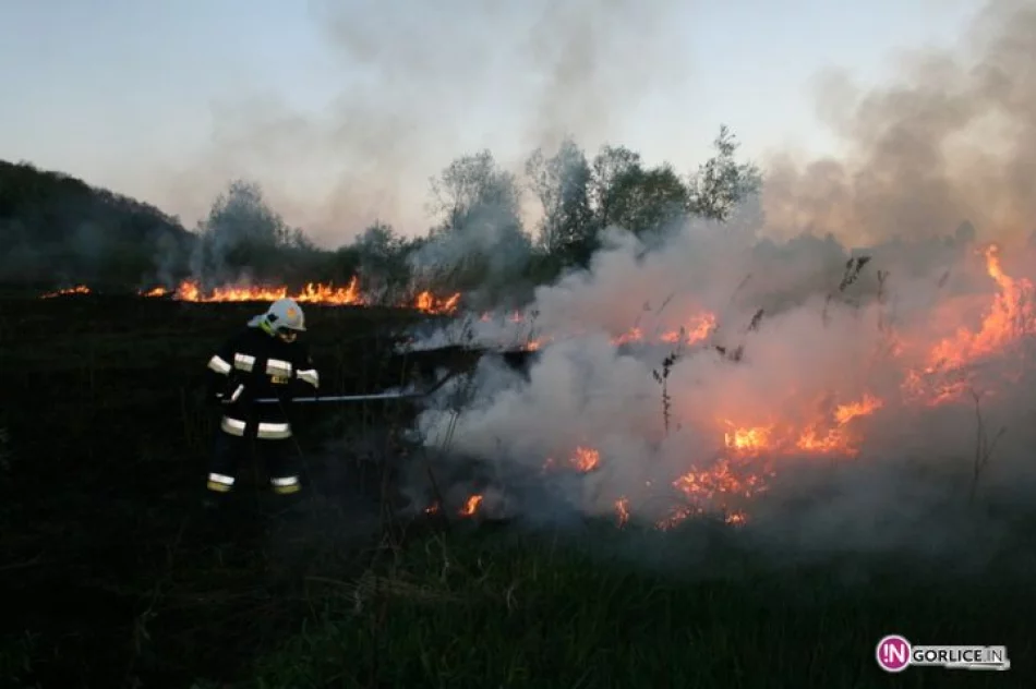 Pożar traw w Bieczu - zdjęcie 14