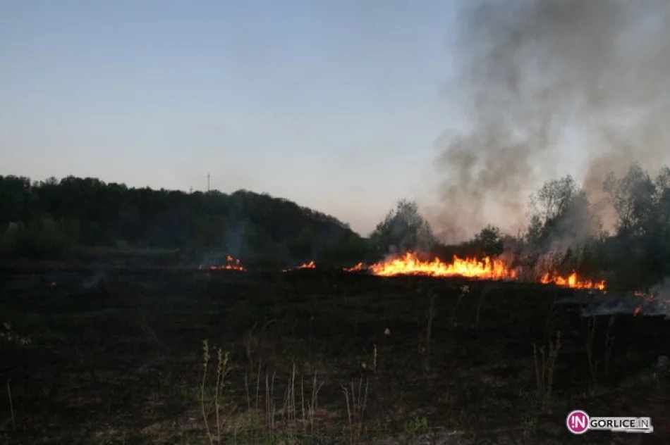 Pożar traw w Bieczu - zdjęcie 15