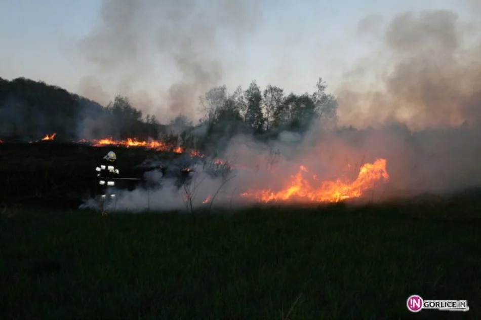 Pożar traw w Bieczu - zdjęcie 16