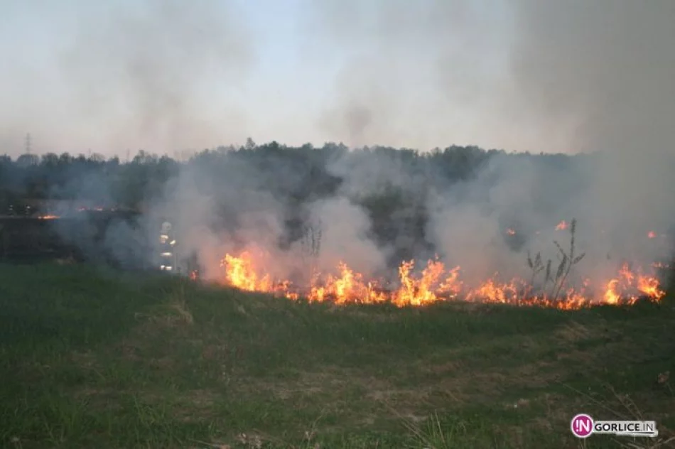 Pożar traw w Bieczu - zdjęcie 17