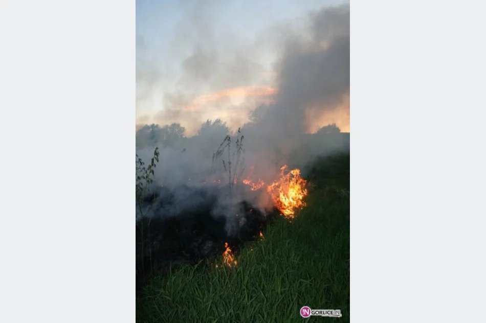Pożar traw w Bieczu - zdjęcie 18