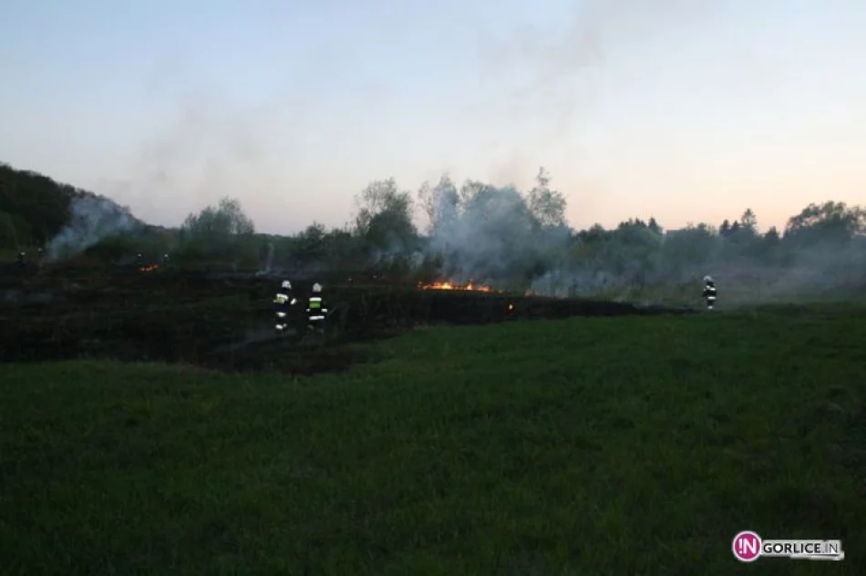 Pożar traw w Bieczu - zdjęcie 19