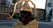 Śmiguśnioki przyszli pomimo mrozu - zdjęcie 4