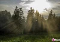 Kolejny dzień z możliwymi burzami, gradem i porywami silnego wiatru - zdjęcie główne