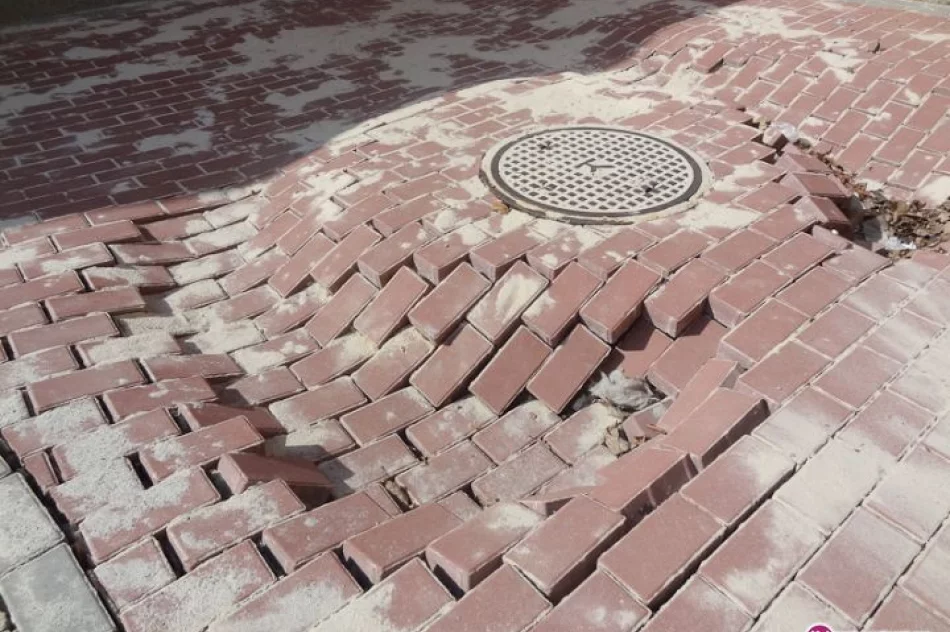 Nowe otoczenie nowej hali sportowej - zdjęcie 2