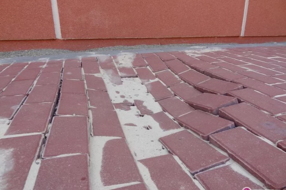 Nowe otoczenie nowej hali sportowej - zdjęcie 5