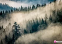 IMiGW zmienia ostrzeżenie dotyczące intensywnych opadów deszczu - zdjęcie główne