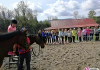 Nietypowe warsztaty dla uczniów - jeździeckie - zdjęcie główne