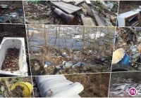 'Stan sanitarny gminy jest tragiczny' - zdjęcie główne