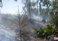 Pożar lasu na szczycie góry, strażacy mają utrudniony dojazd - zdjęcie główne