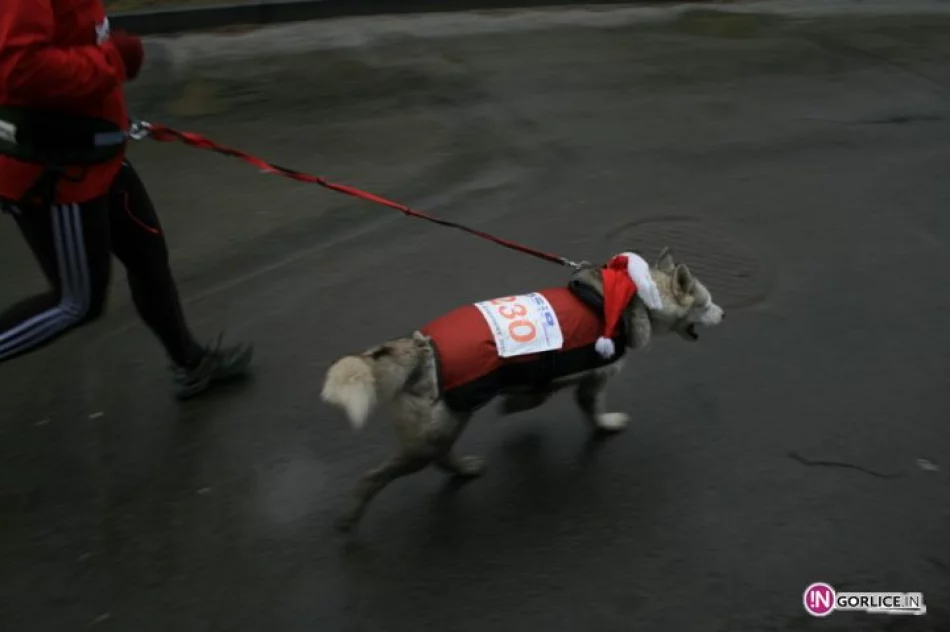 XXI Gorlicki Bieg Sylwestrowy - zdjęcie 14