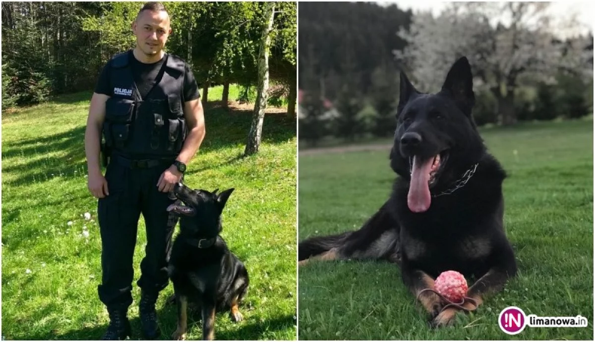 Policjant ze swoim psem uratował życie starszej kobiecie
