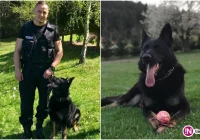 Policjant ze swoim psem uratował życie starszej kobiecie - zdjęcie główne