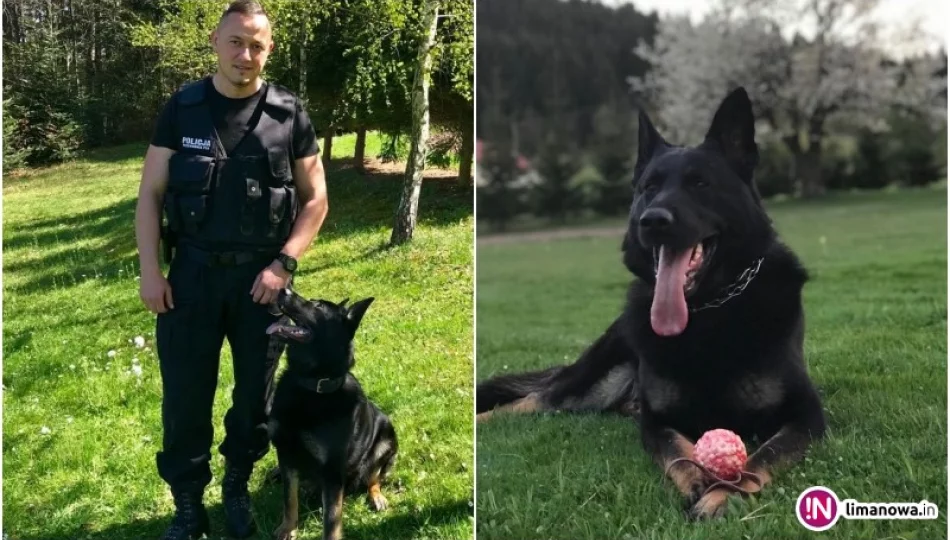 Policjant ze swoim psem uratował życie starszej kobiecie - zdjęcie 1
