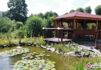 „Piękno wokół nas” - gmina zachęca, by je pokazać - zdjęcie główne