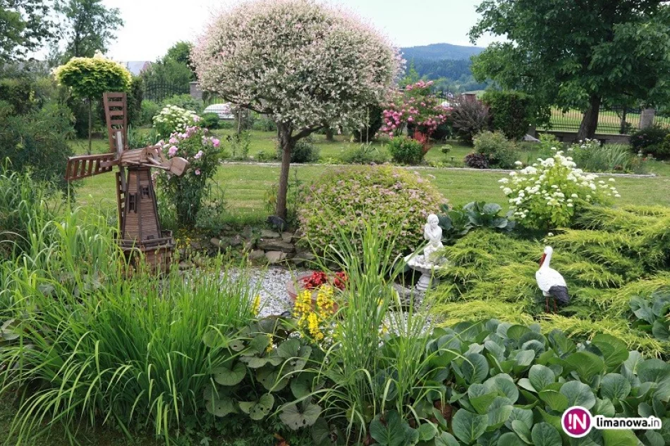 „Piękno wokół nas” - gmina zachęca, by je pokazać - zdjęcie 2