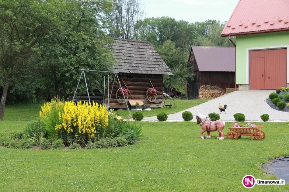 „Piękno wokół nas” - gmina zachęca, by je pokazać - zdjęcie 4