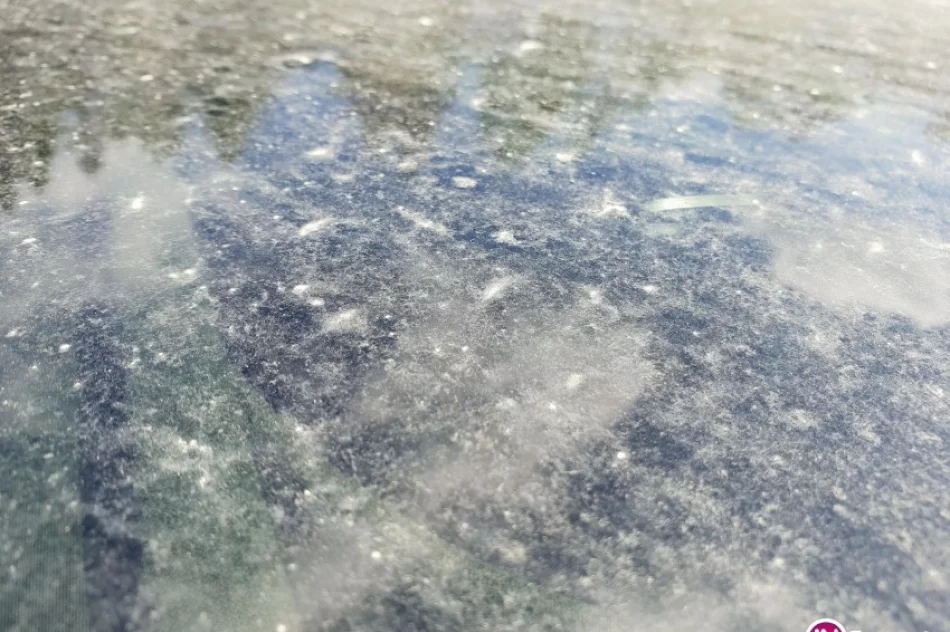 To nie pyłek roślin, to... piasek znad Sahary - zdjęcie 2