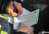 Posypały się mandaty podczas akcji 'prędkość' - zdjęcie główne