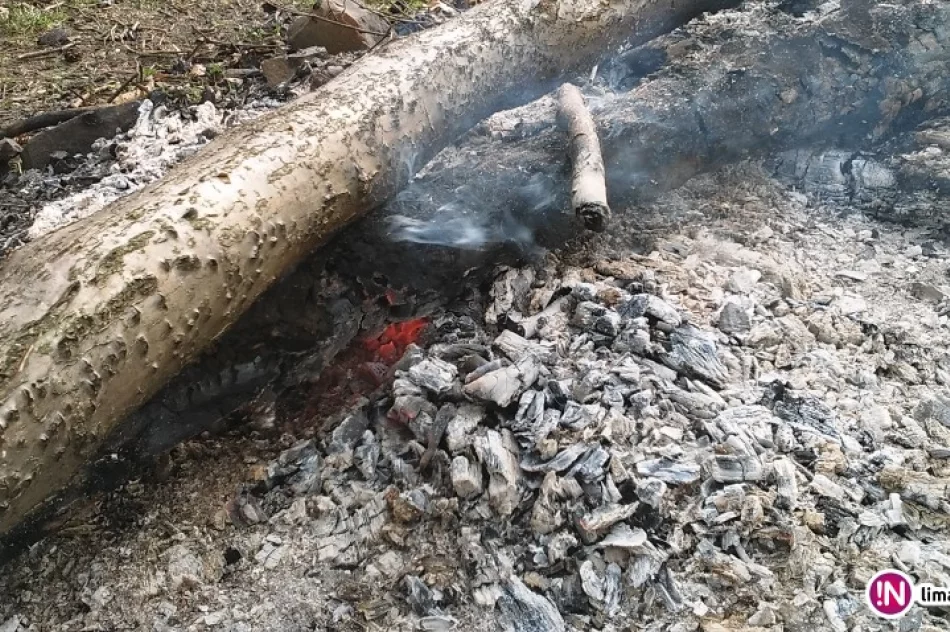 Zagrożenie pożarowe spowodowane ogniskiem - zdjęcie 2