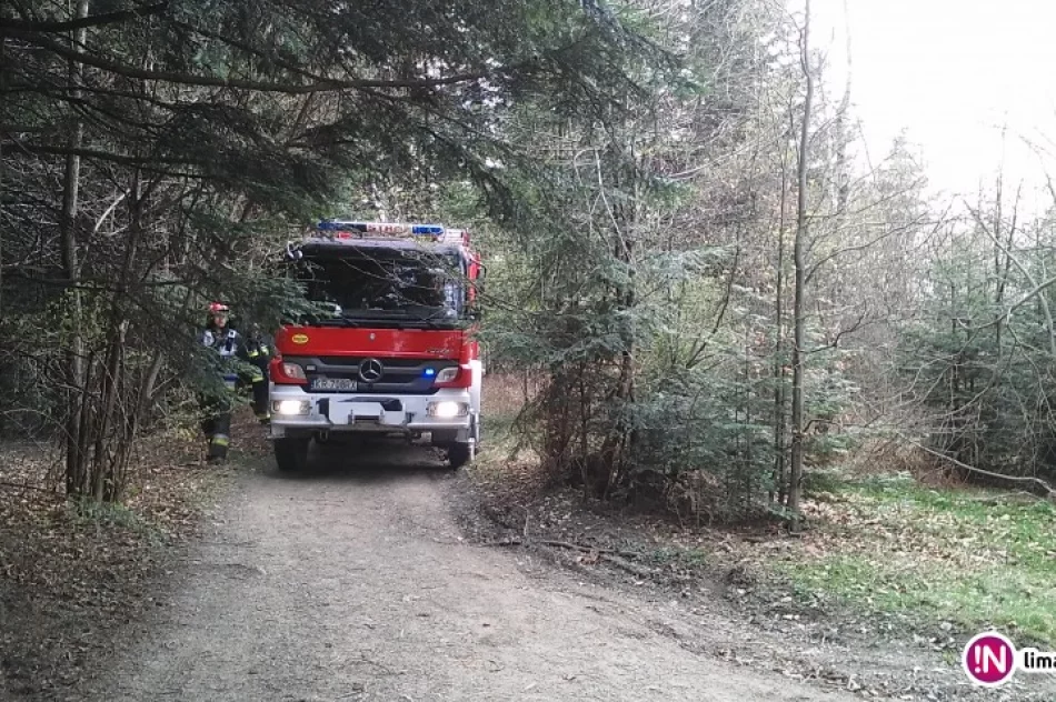 Zagrożenie pożarowe spowodowane ogniskiem - zdjęcie 3