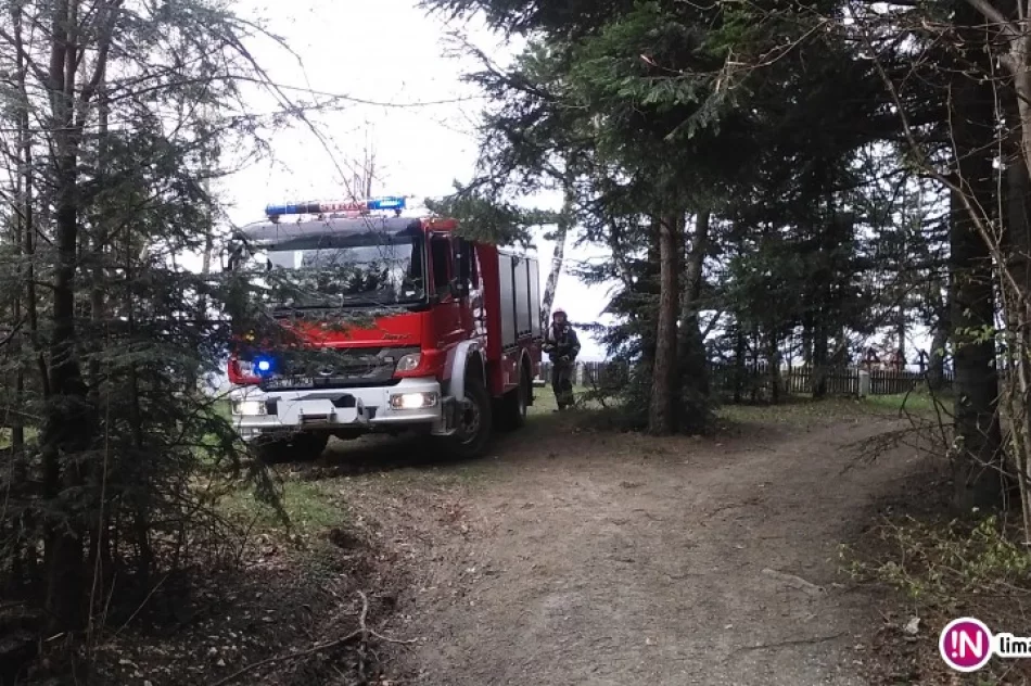 Zagrożenie pożarowe spowodowane ogniskiem - zdjęcie 4