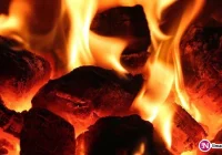 Marszałek apeluje do premiera: 'Obierzmy wspólny front w walce o czyste powietrze” - zdjęcie główne