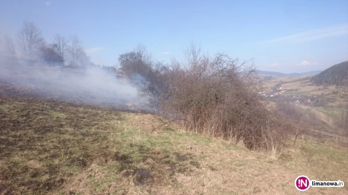 Sezon na wypalanie traw - grozi areszt lub grzywna