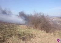 Sezon na wypalanie traw - grozi areszt lub grzywna - zdjęcie główne