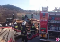 Najpierw gasili pożar traw, później sterty drewna obok tartaku - zdjęcie główne