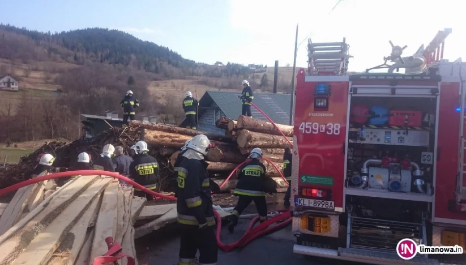 Najpierw gasili pożar traw, później sterty drewna obok tartaku - zdjęcie 1