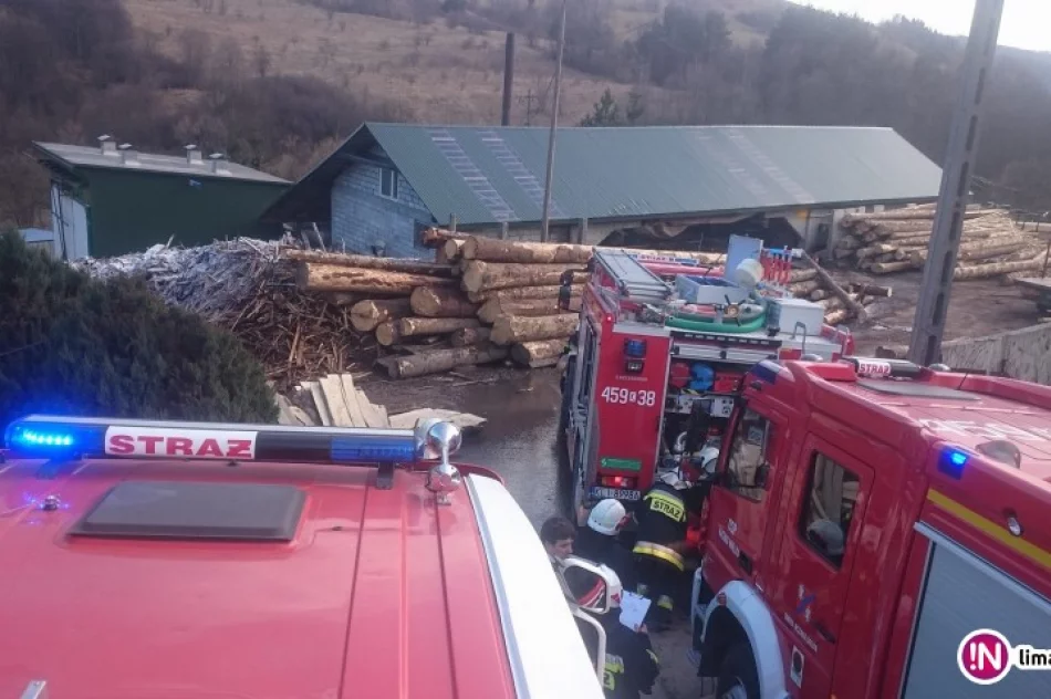 Najpierw gasili pożar traw, później sterty drewna obok tartaku - zdjęcie 2