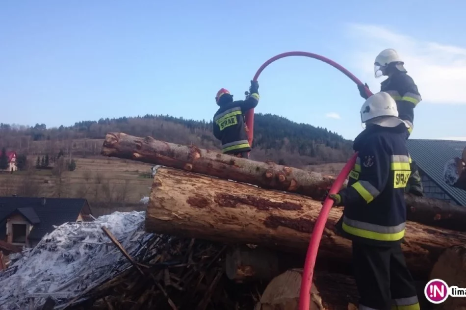 Najpierw gasili pożar traw, później sterty drewna obok tartaku - zdjęcie 3
