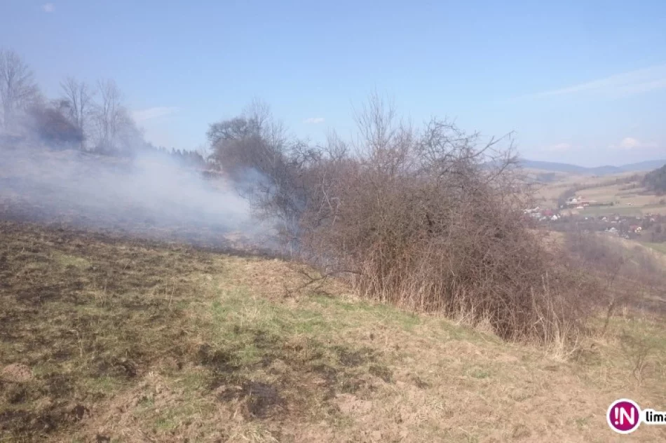 Najpierw gasili pożar traw, później sterty drewna obok tartaku - zdjęcie 4