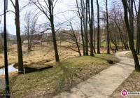 Jest przetarg na zagospodarowanie 8 ha parku i terenu nad potokiem. Inwestycja ma kosztować 4,8 mln zł - zdjęcie główne