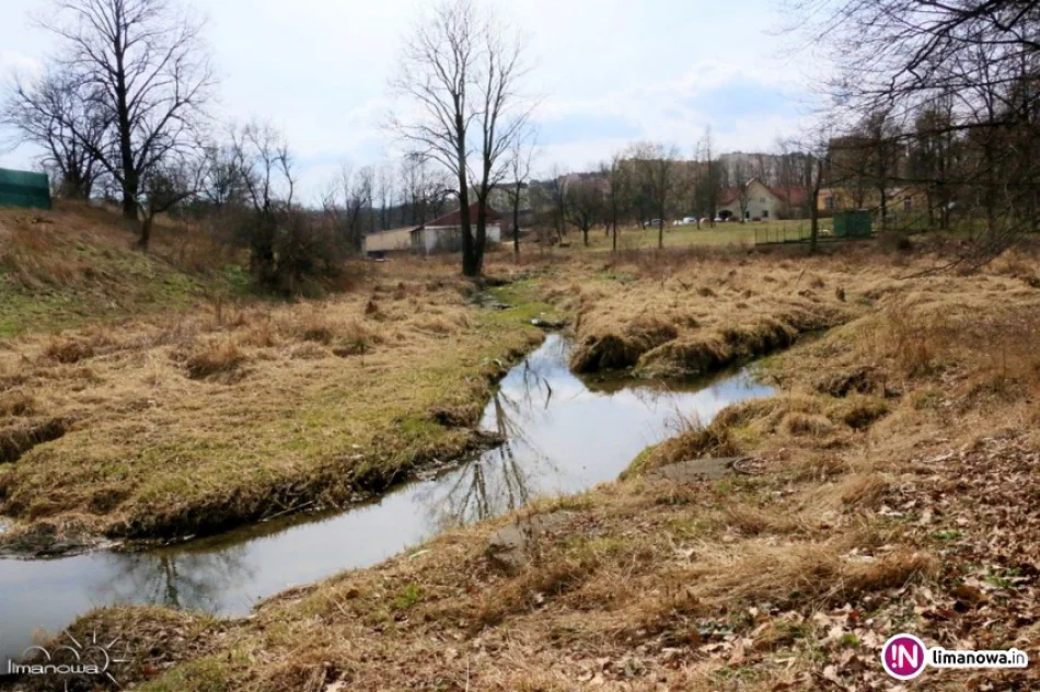 Jest przetarg na zagospodarowanie 8 ha parku i terenu nad potokiem. Inwestycja ma kosztować 4,8 mln zł - zdjęcie 2