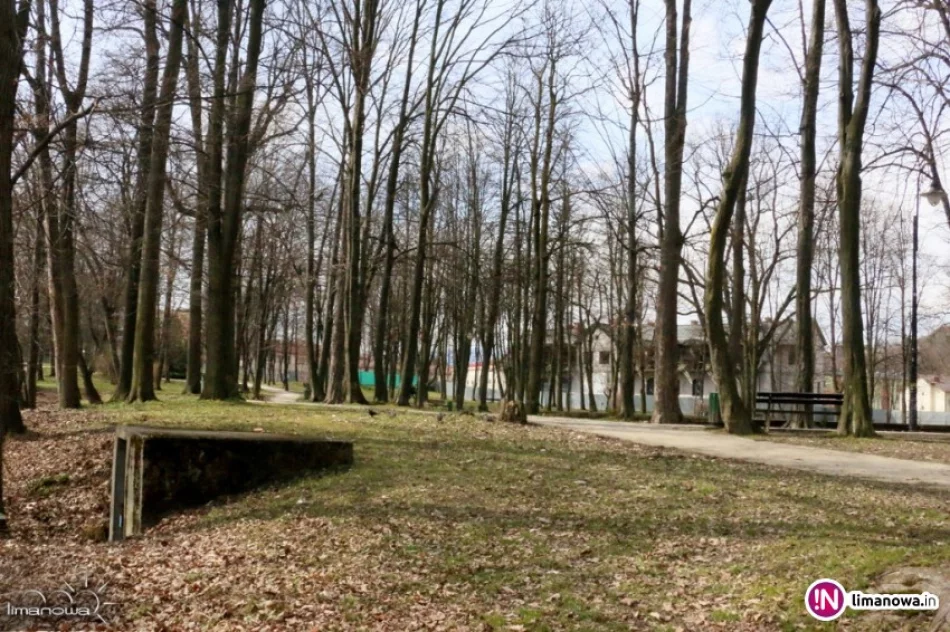 Jest przetarg na zagospodarowanie 8 ha parku i terenu nad potokiem. Inwestycja ma kosztować 4,8 mln zł - zdjęcie 3
