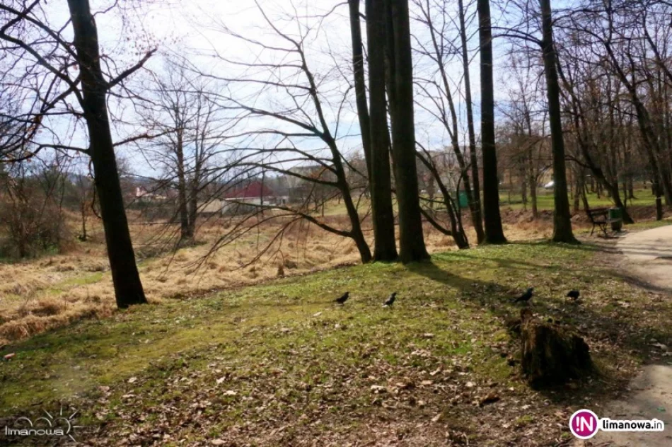 Jest przetarg na zagospodarowanie 8 ha parku i terenu nad potokiem. Inwestycja ma kosztować 4,8 mln zł - zdjęcie 4