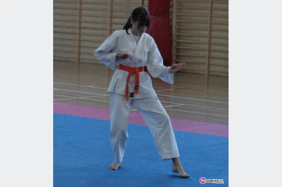 I Młodzieżowy Turniej Karate Kyokushin o Puchar Burmistrza Biecza. - zdjęcie 2