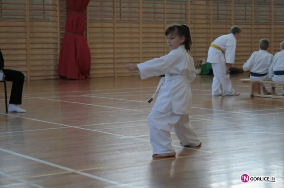 I Młodzieżowy Turniej Karate Kyokushin o Puchar Burmistrza Biecza. - zdjęcie 5