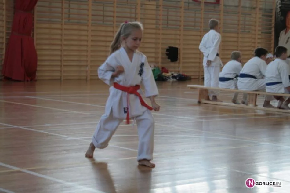 I Młodzieżowy Turniej Karate Kyokushin o Puchar Burmistrza Biecza. - zdjęcie 6