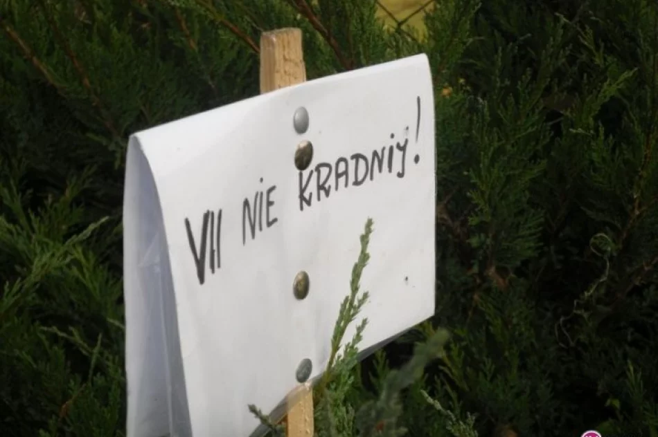 1 listopada - cmentarze w Marcinkowicach - zdjęcie 9