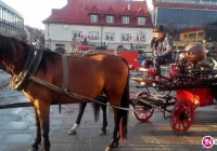 Transgraniczne, polsko-słowackie mikroprojekty związane z kulinariami i pożarnictwem - zdjęcie główne