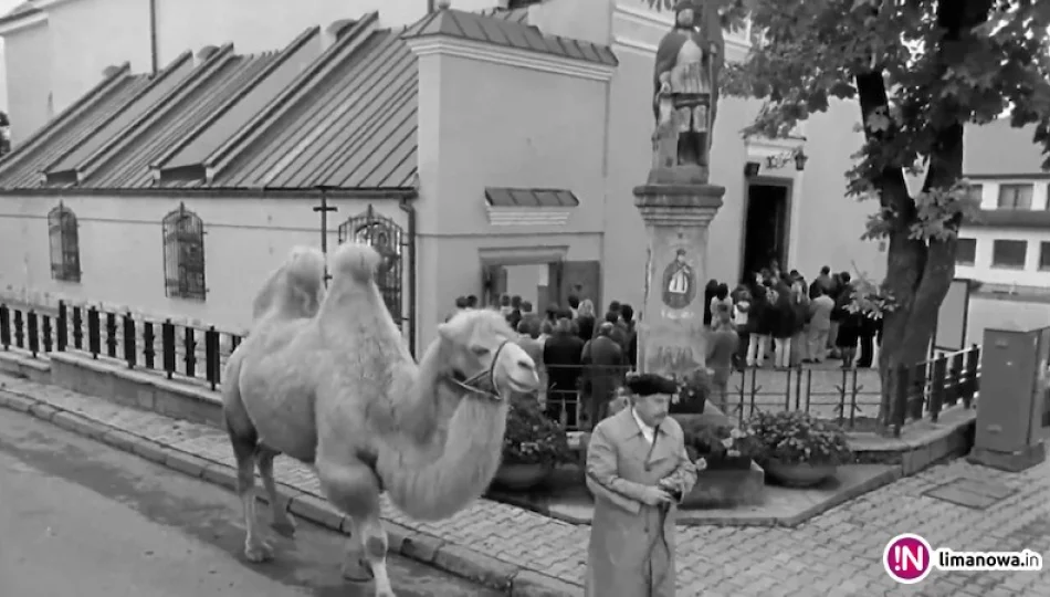 18 lat temu kręcono 'Duże zwierzę' (wideo) - zdjęcie 1