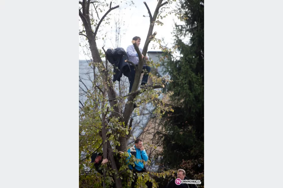 Limanovia nie dała rady Mistrzom - zdjęcie 8