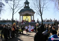 Palmy zachwycały wielkością i zdobieniami - zdjęcie główne