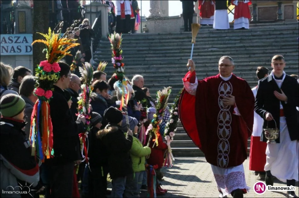 Palmy zachwycały wielkością i zdobieniami - zdjęcie 2