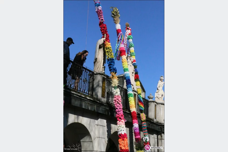 Palmy zachwycały wielkością i zdobieniami - zdjęcie 4